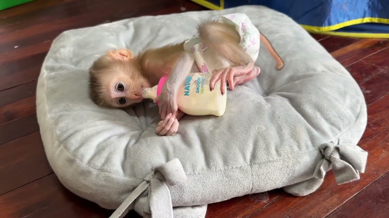 Time to drink milk 🥛 