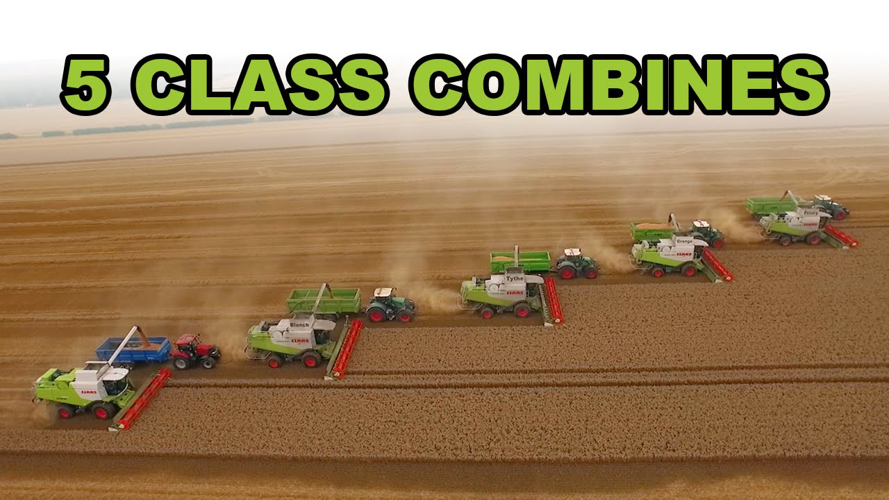 5 Combine Harvesters Working Together