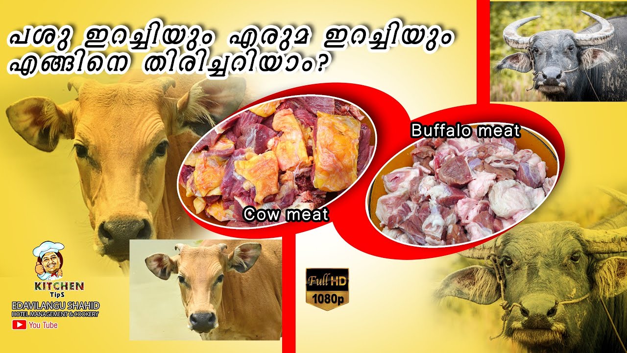 പശു ഇറച്ചിയും എരുമ ഇറച്ചിയും തിരിച്ചറിയാൻ ഇതിലും എളുപ്പവഴി വേറെയില്ല🐃🐃🐃🐄🐂🐄🐂🐄🐂