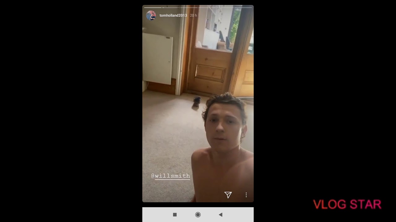 Tom Holland in lockdown with piegon | piegon visits spiderman at home | tom Holland lockdown