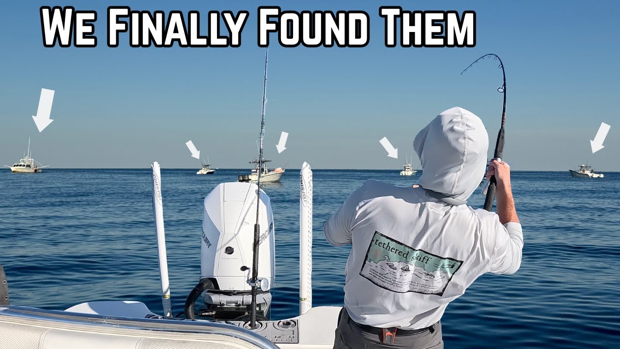 DOZENS Of Boats Come Here Every Year To Catch THESE Fish!
