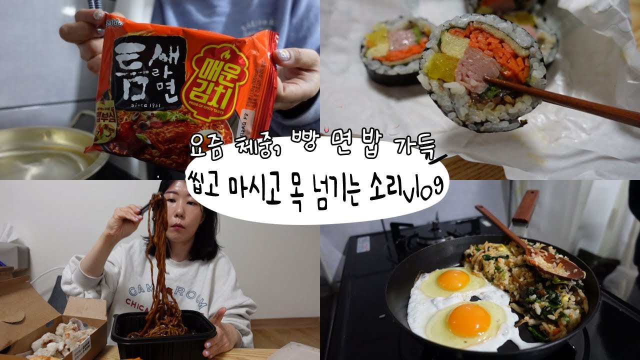 혼밥 아오💚 먹방 asmr 브이로그 씹고 마시고 삼키는 꿀떡꿀떡 소리 가득, 짜장면, 열무냉면, 김밥, 틈새김치라면, 비빔밥, 도넛, 볶음우동 만두 브이로그맛집