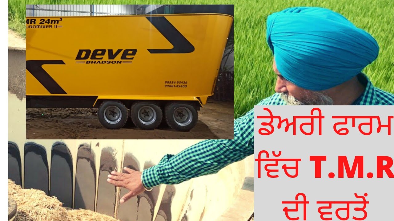 USE OF T.M.R IN DAIRY FARM | AULAKH DAIRY FARM |RAMPURA PHUL | BATHINDA | PUNJAB |