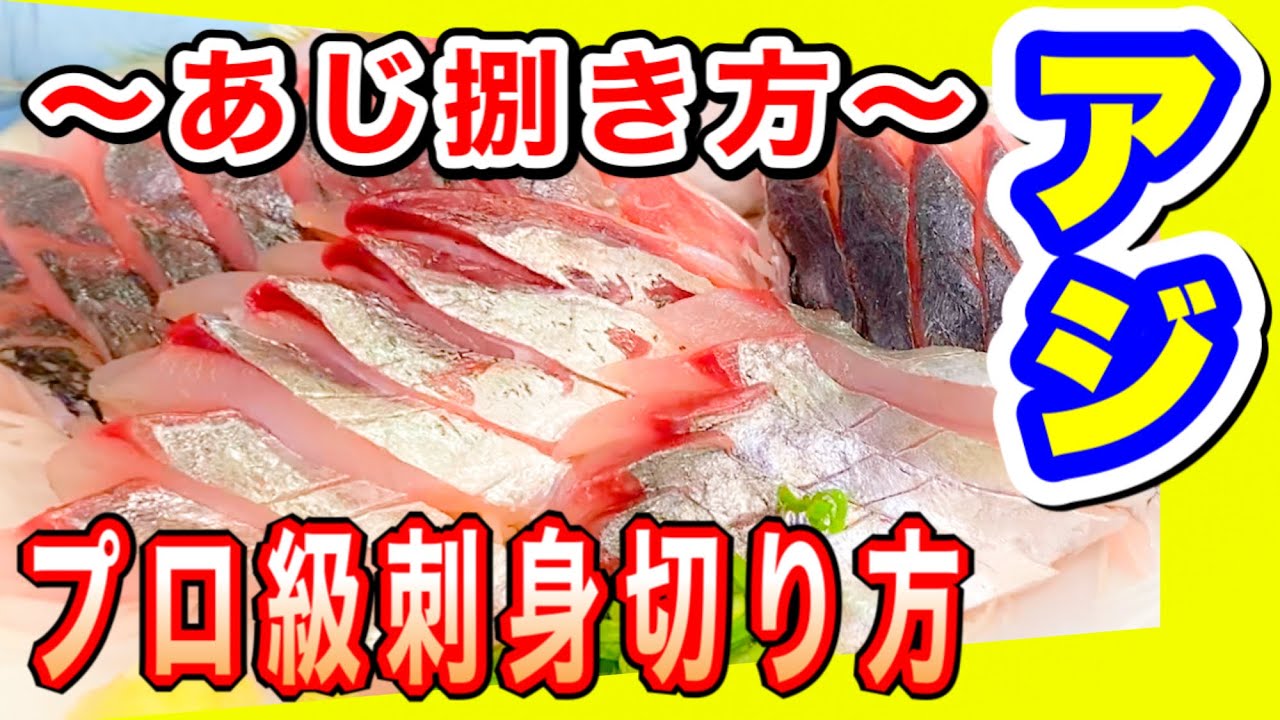 アジ刺身の作り方【アジ刺身盛り付け】中々教えて貰えないアジさばき方〜アジ刺身さばき方と作り方How to filet Horse Mackerel