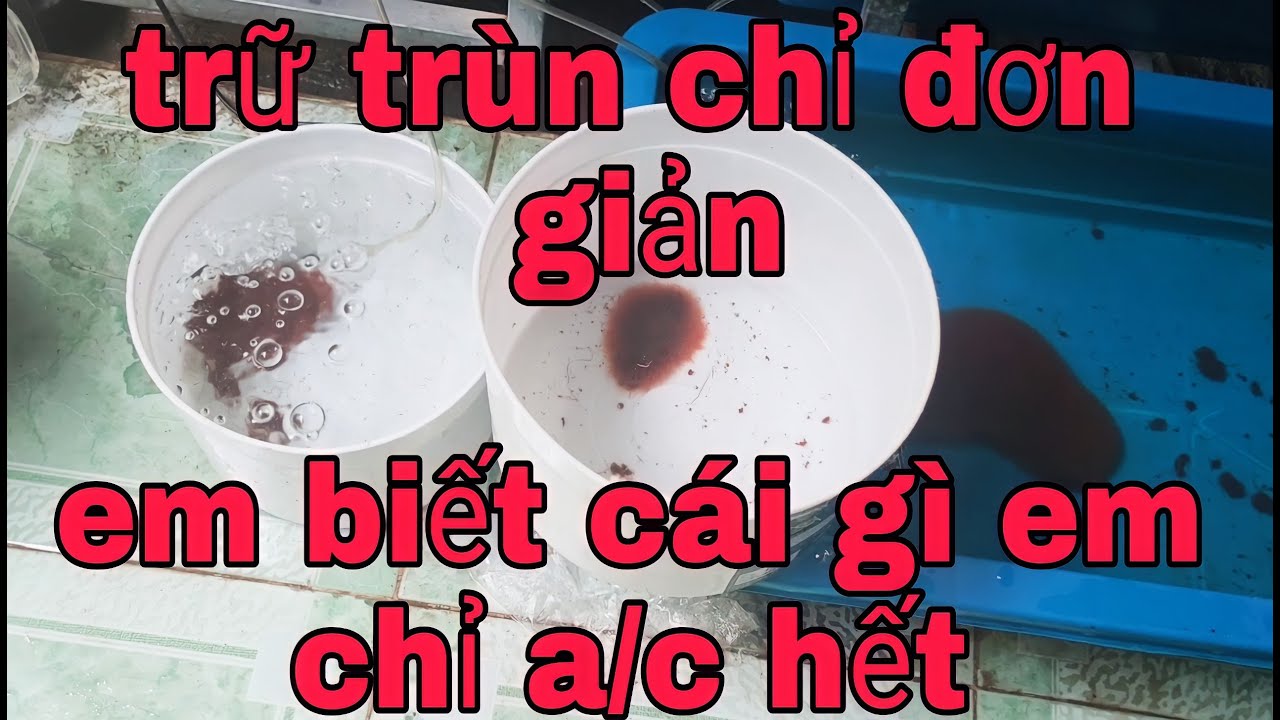Cách trữ trùn chỉ dễ dàng nhất và cực kì hiểu quả-hiếu pm.