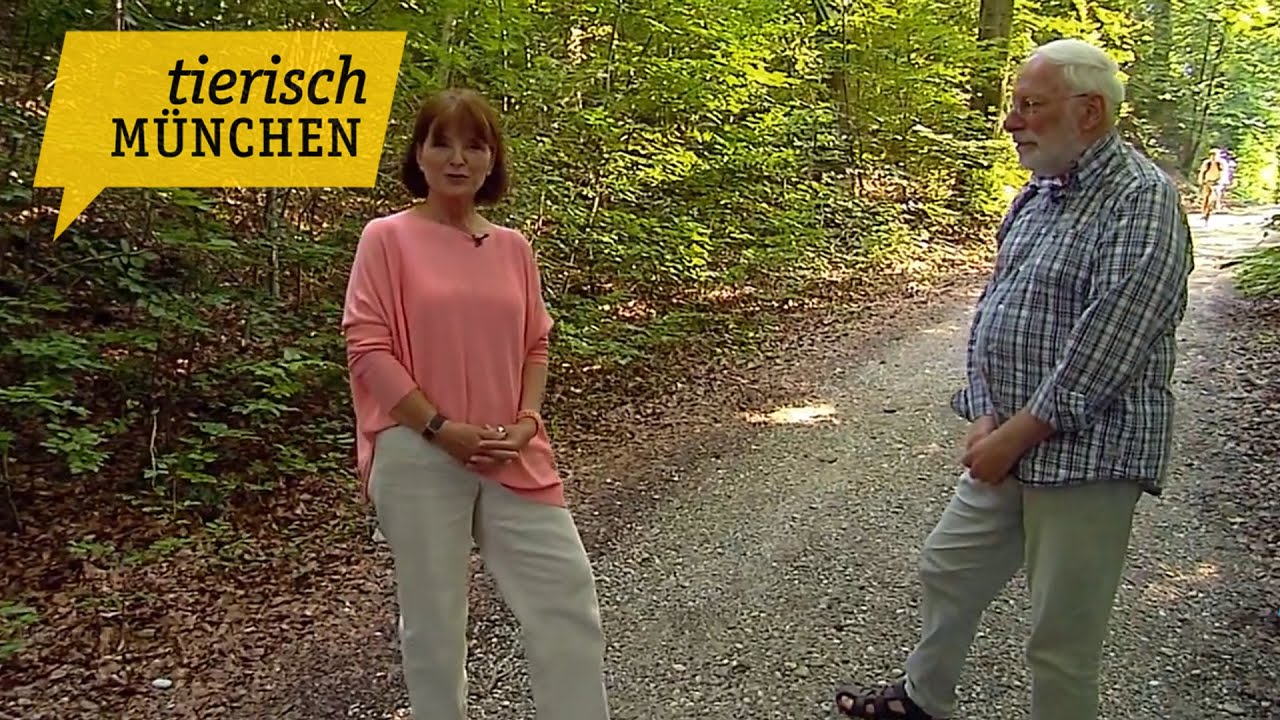 Tierisch M&uuml;nchen &ndash; Die Welt der Wilden Tiere