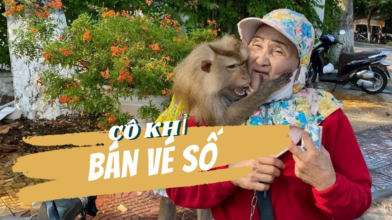 Ch&uacute; khỉ cực kh&ocirc;n theo chủ b&aacute;n v&eacute; số, &ocirc;m h&ocirc;n cảm ơn kh&aacute;ch