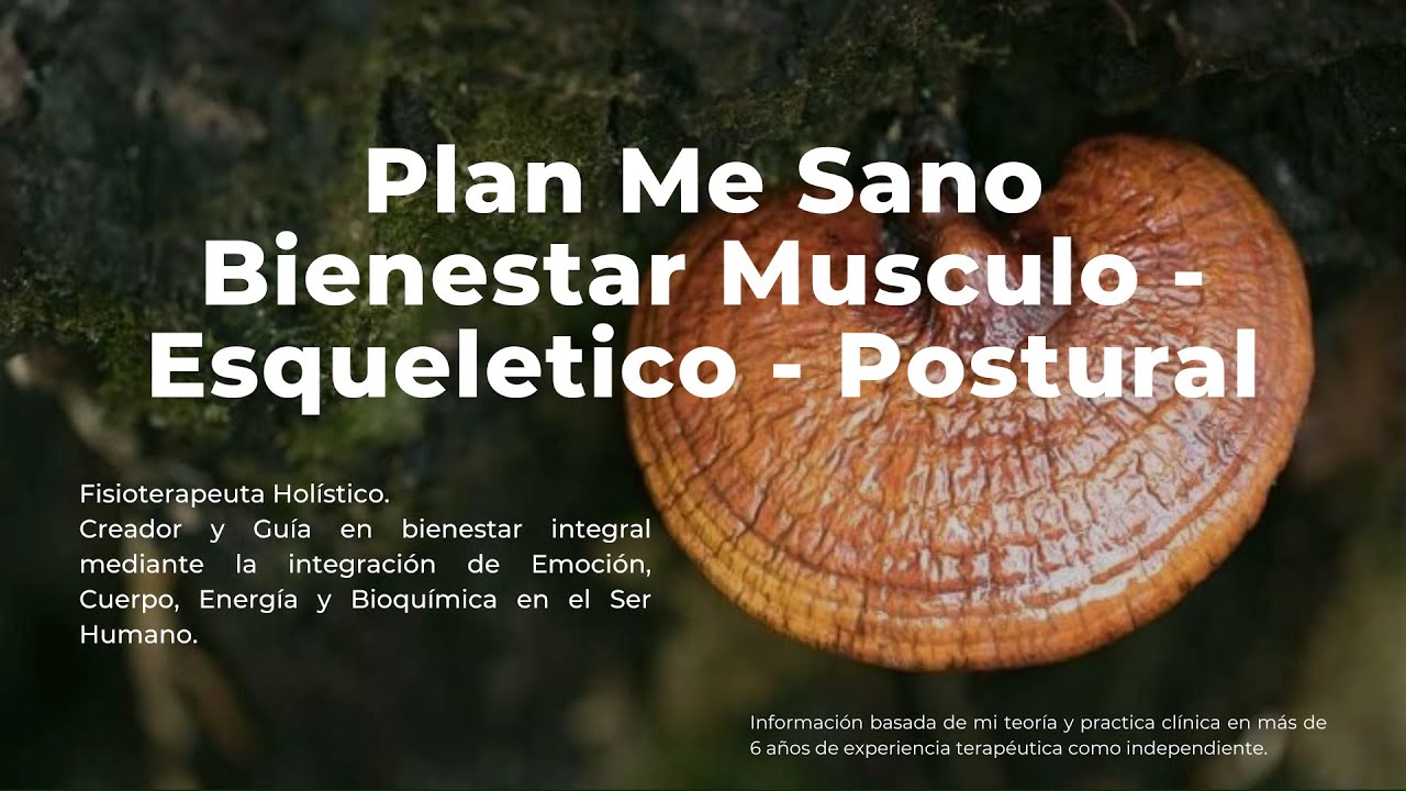 Clase 1: Bienestar Musculo Esquelético - Postural