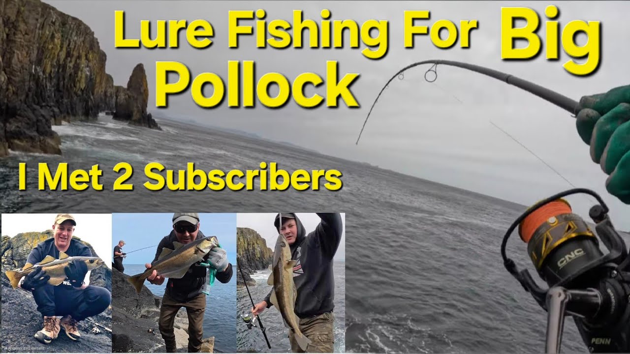 Monster Pollock Hunt On The Rocks Sea Fishing In Scotland Highlands Isle Of Skye