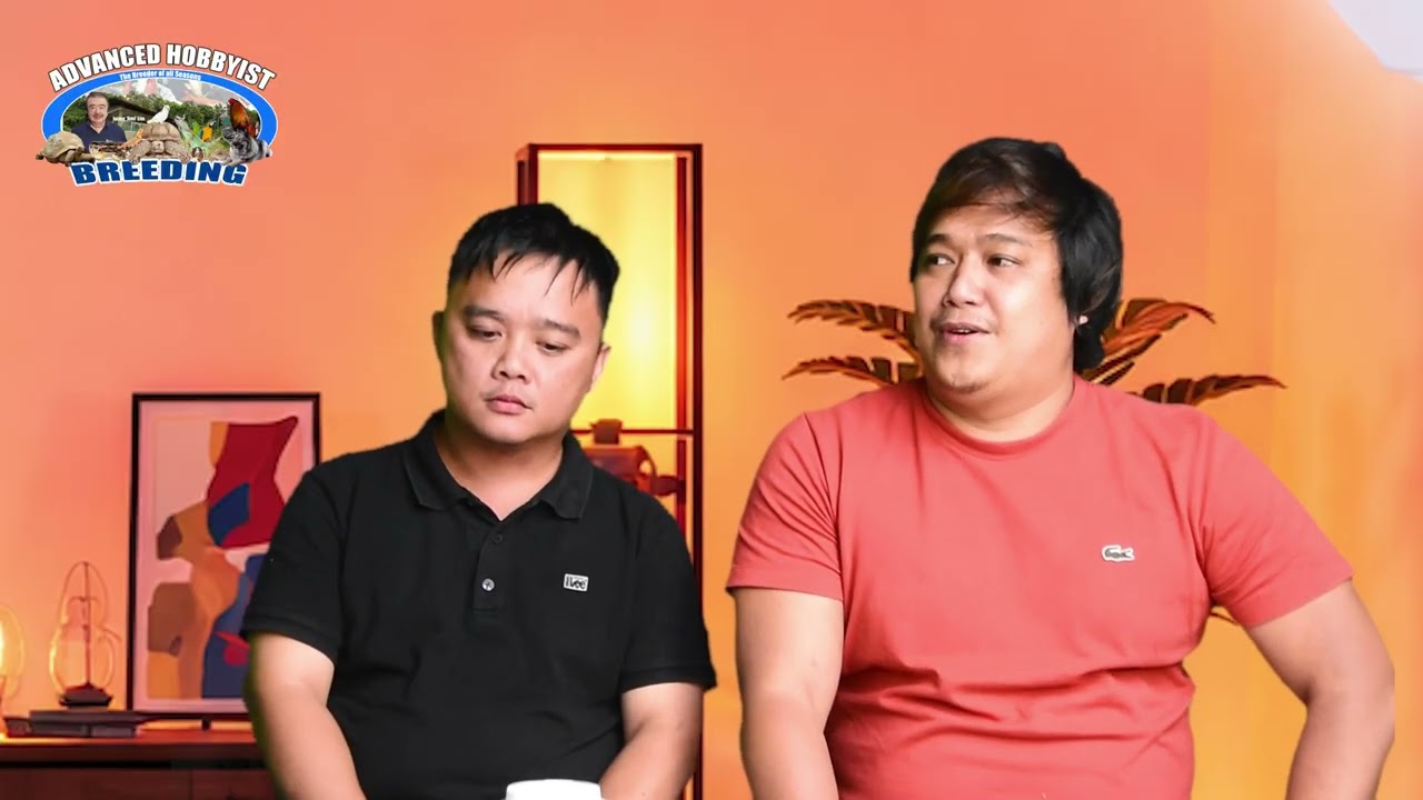 PART 1 | Pigeon Talk with Champion Fancier from Cavite 🏆🔥