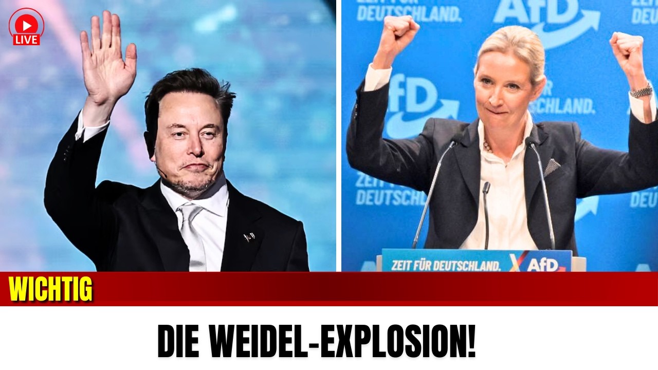 WEIDEL INTERNATIONAL! Warum plötzlich die ganze Welt über sie spricht