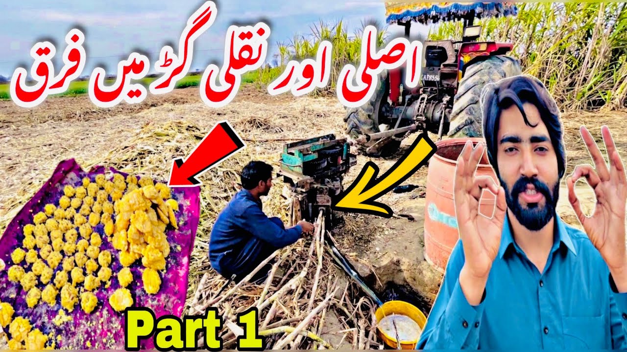 Asli Or Nakli Gur main farak | Difference between real and fake jaggery | Umair Yasir Wattoo Vlogs |