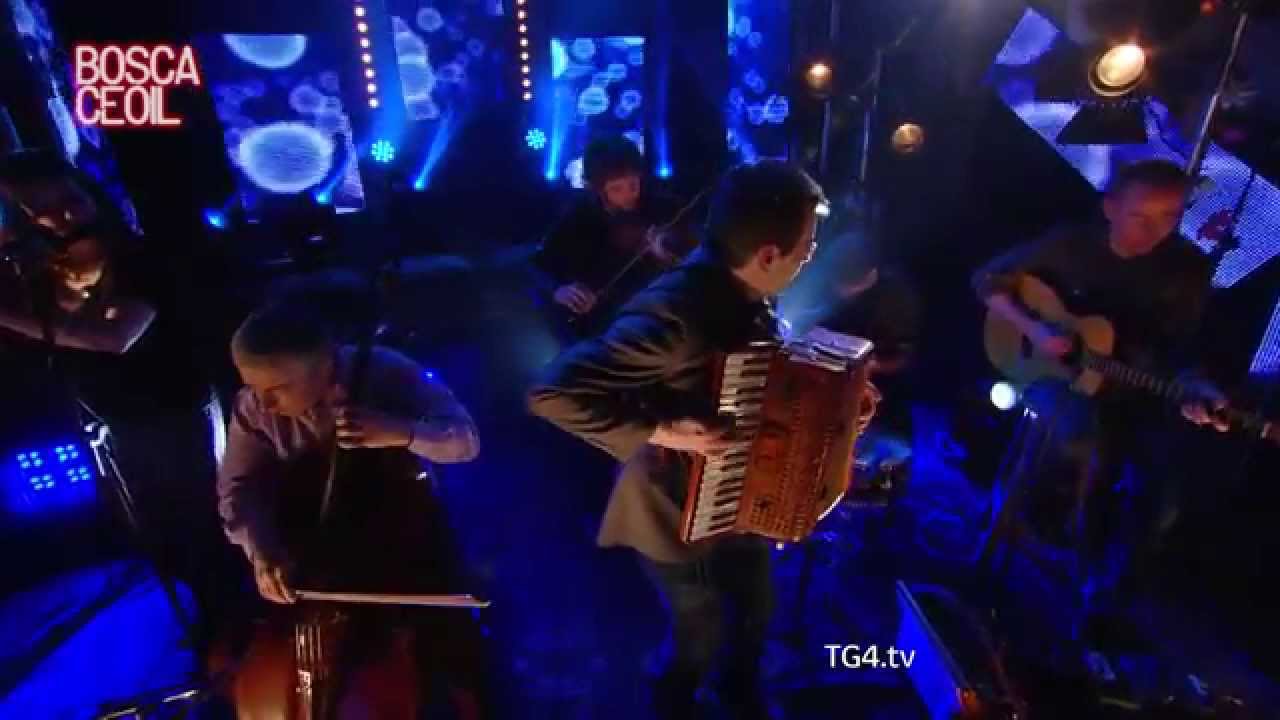 Alan Kelly Gang - 'Snow Reels'