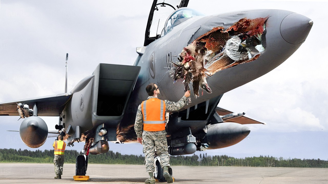 What Happens When US Most Powerful Fighter Jets Collide with Crazy Birds