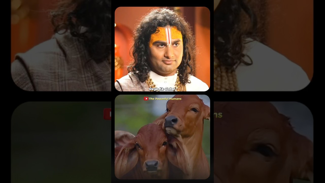 Why Panch Gavya is Essential Before Any Yagya in Sanatana Dharma? @ThePowerfulHumansOfficial  #yt