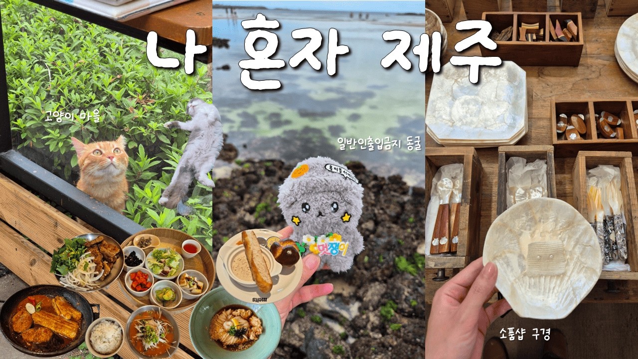 sub) 나 혼자 제주도 2박 3일···🐳🌹 렌터카로 제주 정복🍊| 아침미소목장, 제주캣월드, 일반인 출입금지 동굴 탐험✶(세계유산축전), 가성비 숙소 추천, 혼밥 맛집, 소품샵