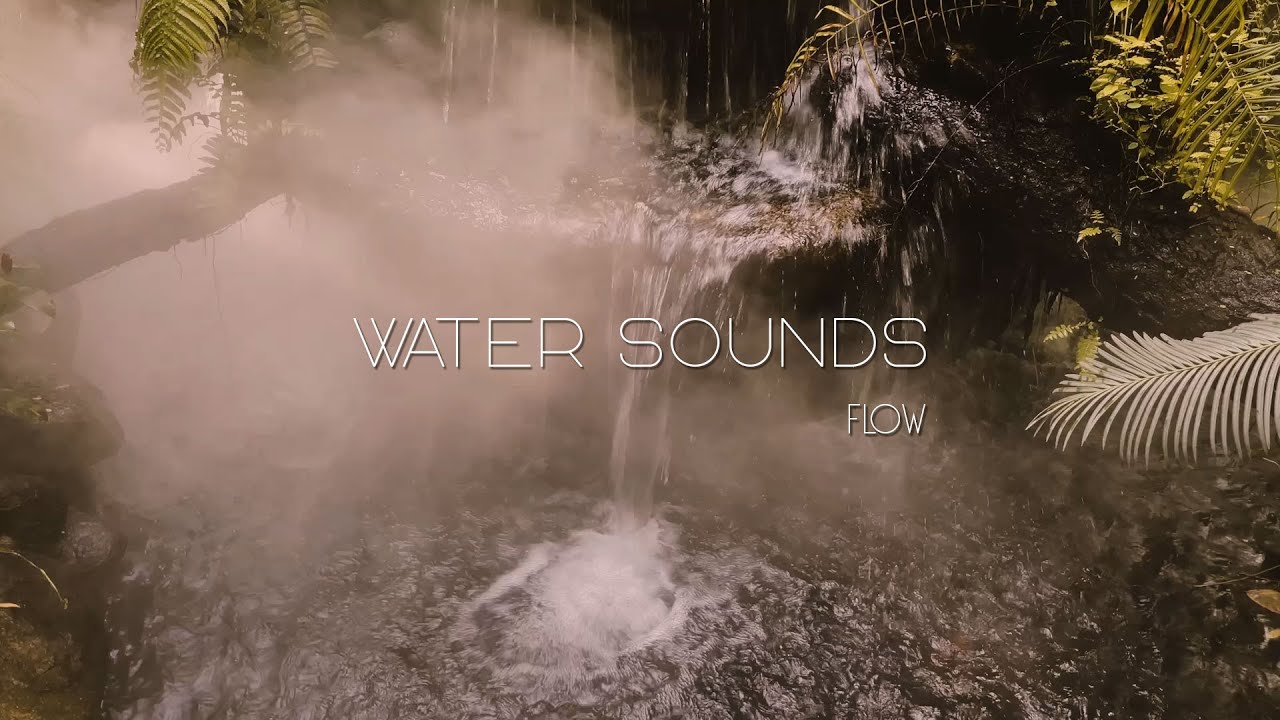 Peaceful Piano Music for Sleep & Study – Calm Background Music | Botanic Cafe Sen Sok