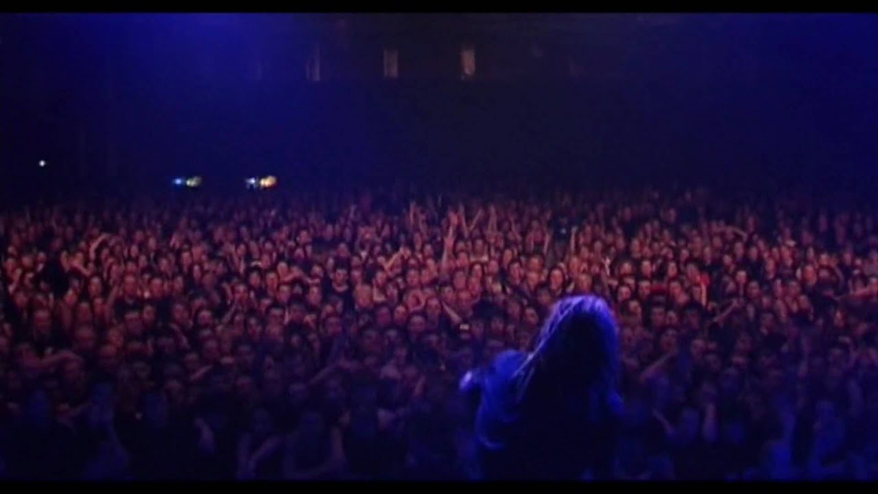 in flames - only for the weak    Used And Abused DVD
