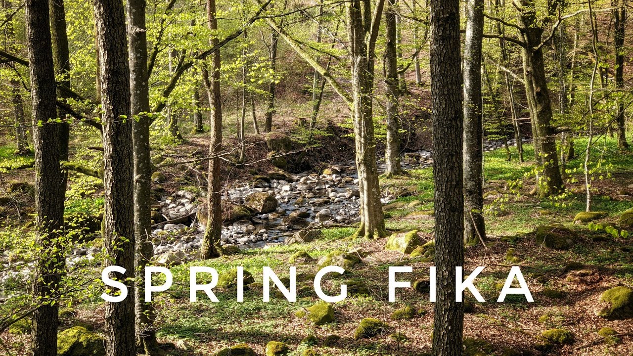 Fika in the Swedish Spring