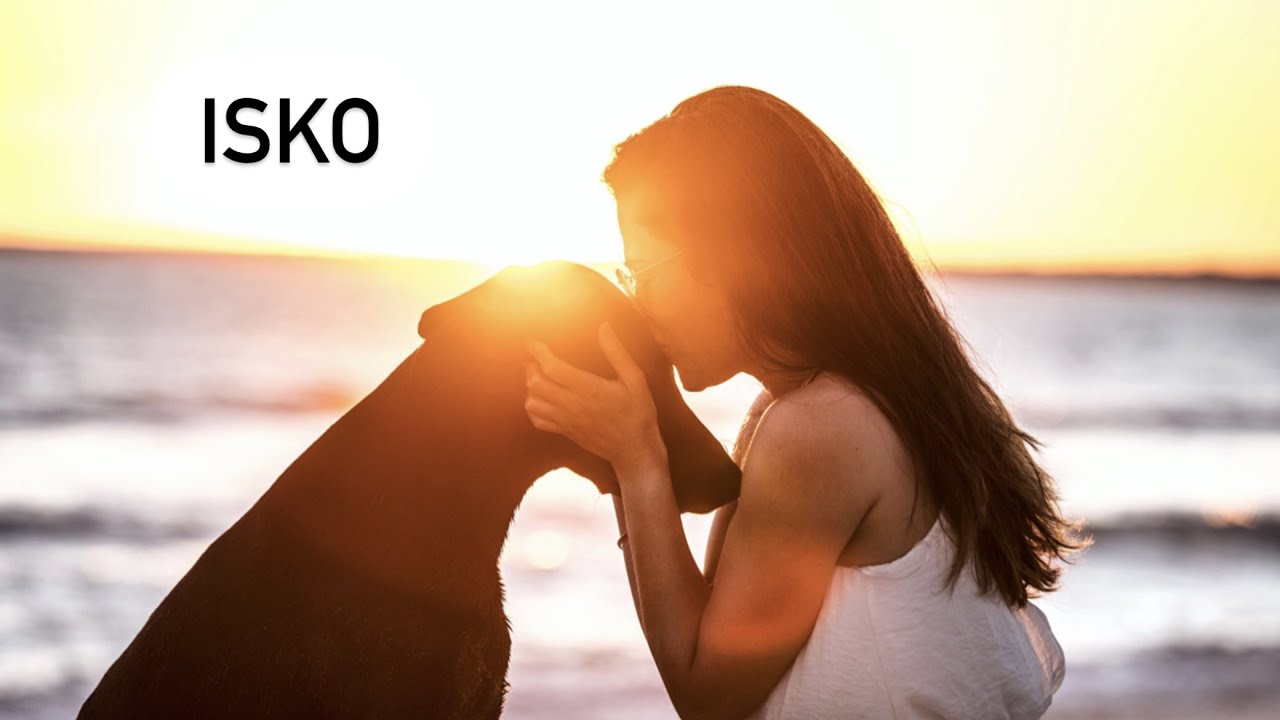 Et Isko dans tout ça?