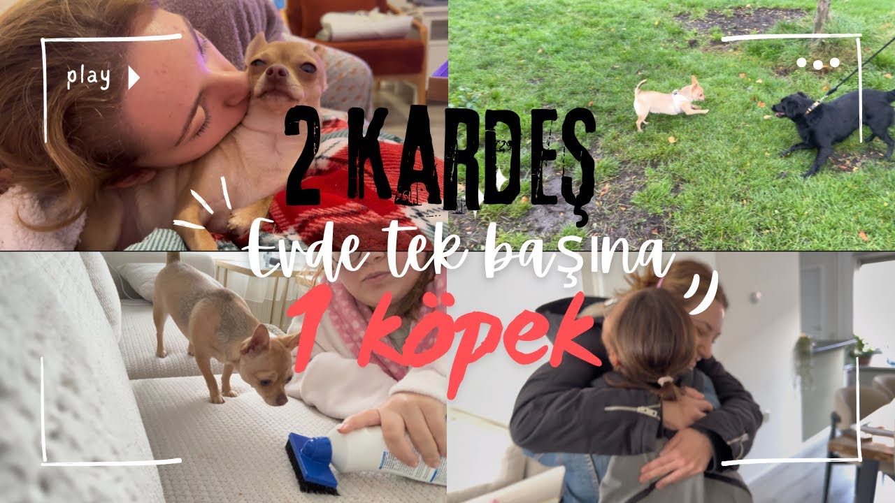 Annem İtalya’da, ev bize emanet! 5 gün boyunca köpek, yemek, temizlik 🐾🧺🍝 