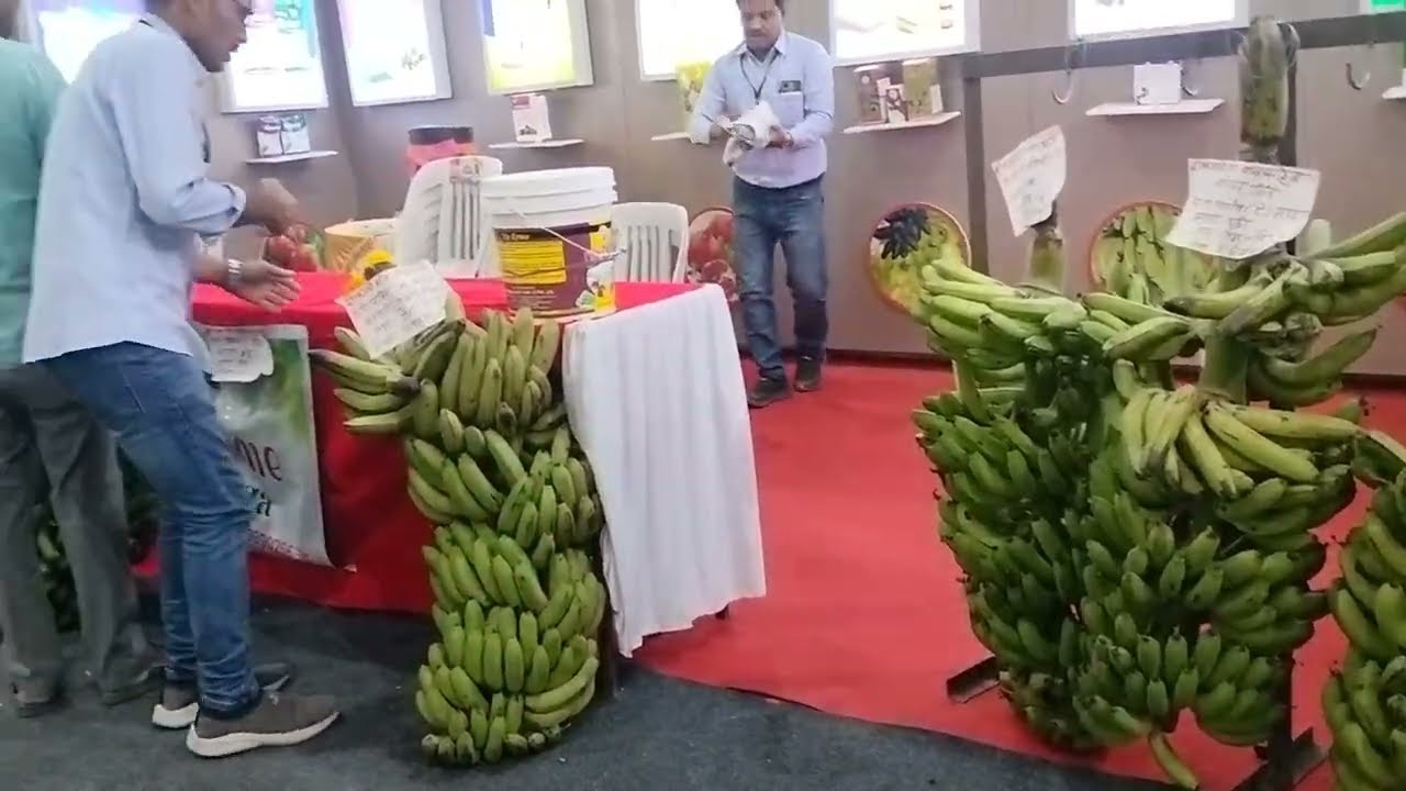 उपमुख्यमंत्री अजितदादा पवार यांना मी शेवटचं प्रदर्शनामध्ये पाहिलं होतं व त्यांचे पाय याजागेला लागले