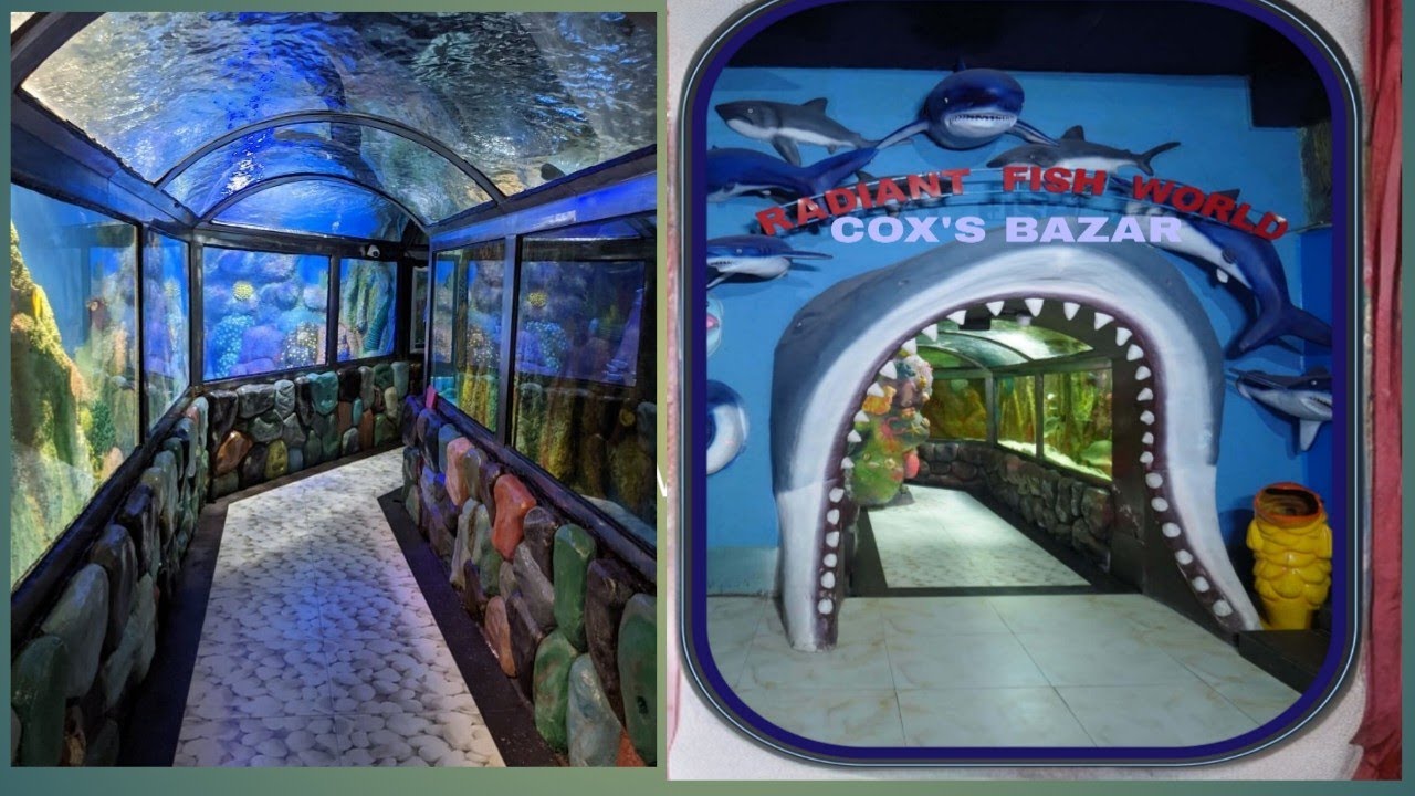 Radiant Fish world Cox's Bazar।। সাগর তলের রহস্য 