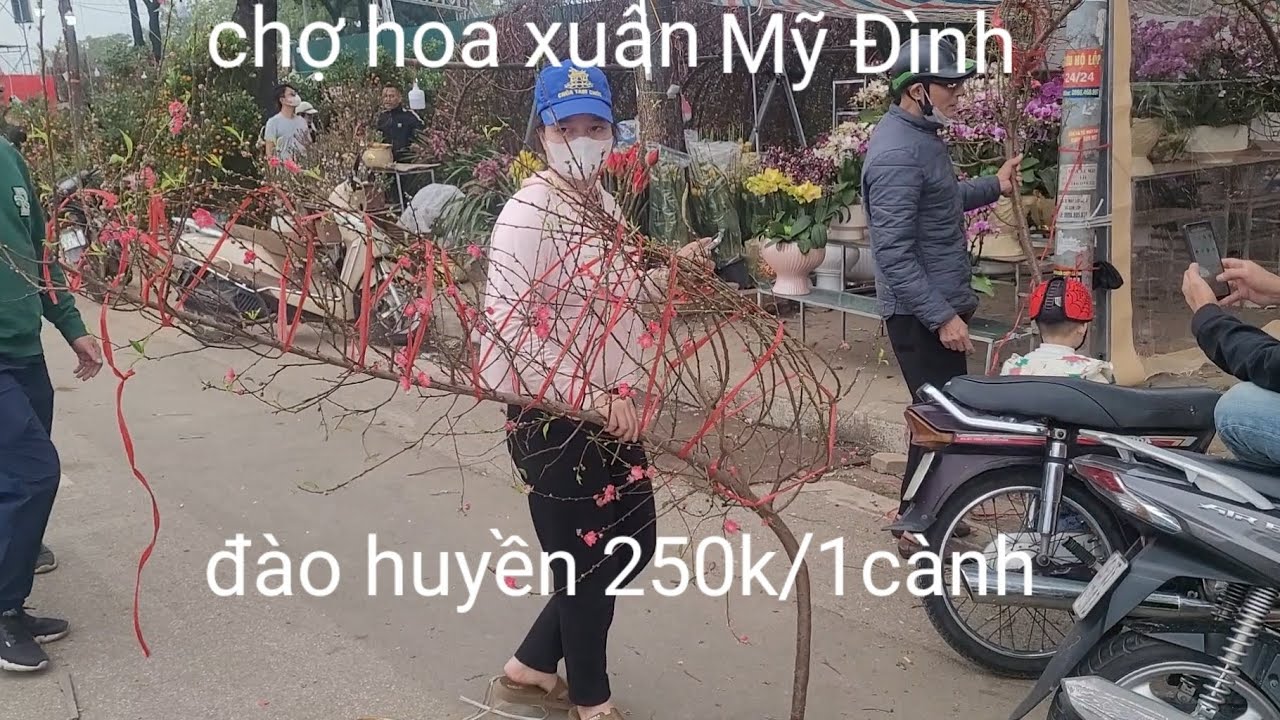 Chợ hoa xuân tết Mỹ Đình Hà Nội,nhộn nhịp người mua sắm đào quât