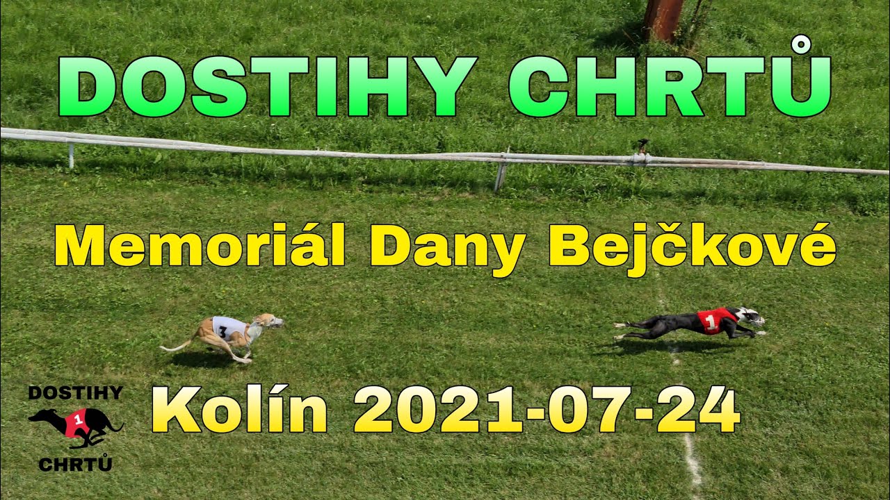 dostihy chrtů - Memoriál Dany Bejčkové - Kolín 2021-07-24