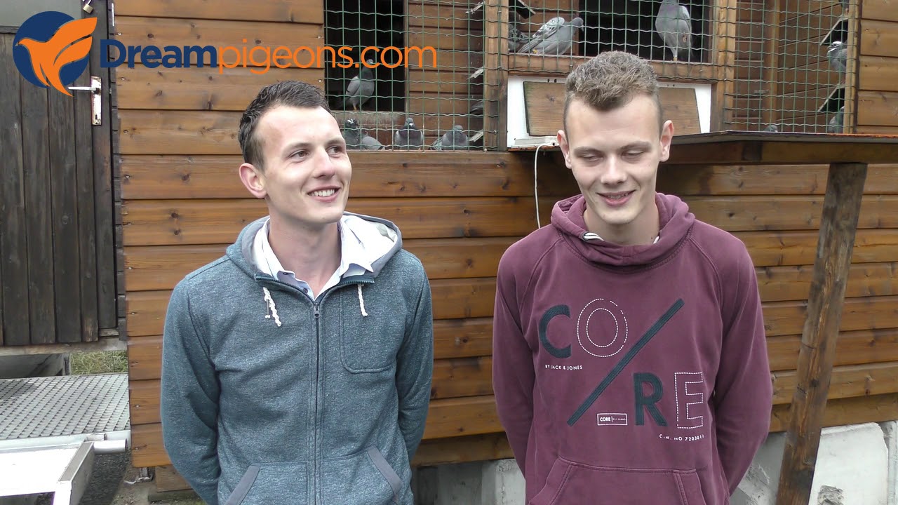 Gebr. Dekker - Duif Hokvoorstelling / Pigeon Loft Presentation Video