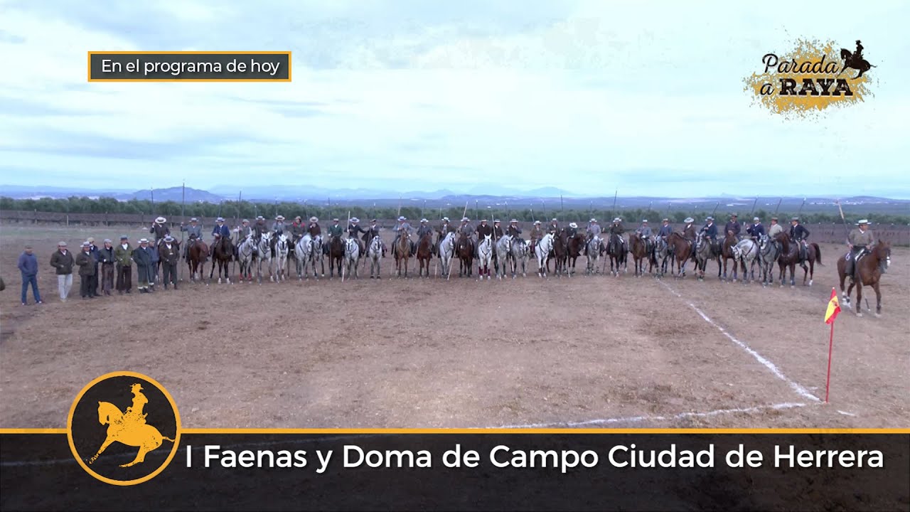 Parada a Raya 291