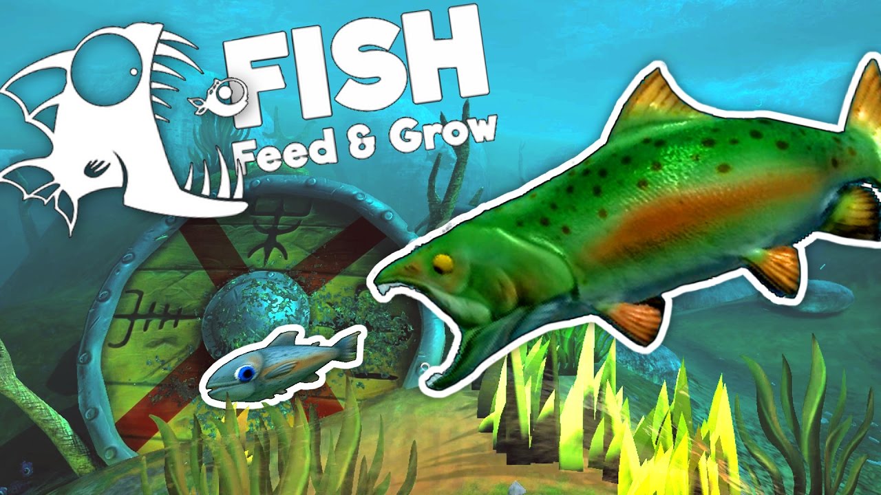 Amazing New River Salmon! - Feed and Grow Fish Gameplay - 0.7 Ocean Update - New Salmon and Baracuda