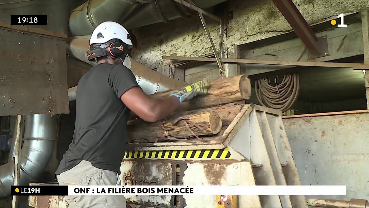 Une entreprise locale de fabrication des copeaux de bois menac&eacute;e