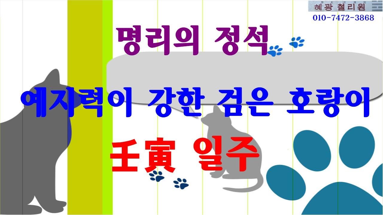 #일주론-임인 일주(예지력이 강한 검은 호랑이)
