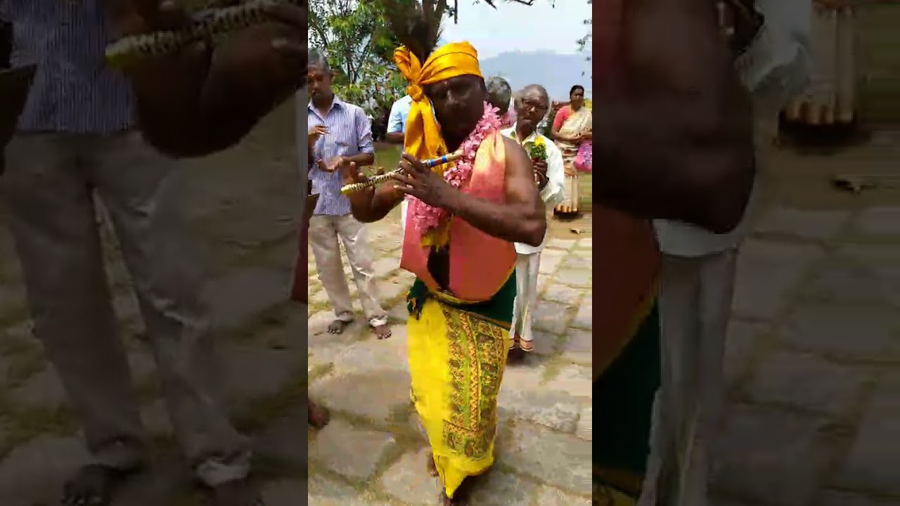 🙏 தேவகானம் 🙏 பண்டரி நாதனடி பரமதையாளனடி 🙏