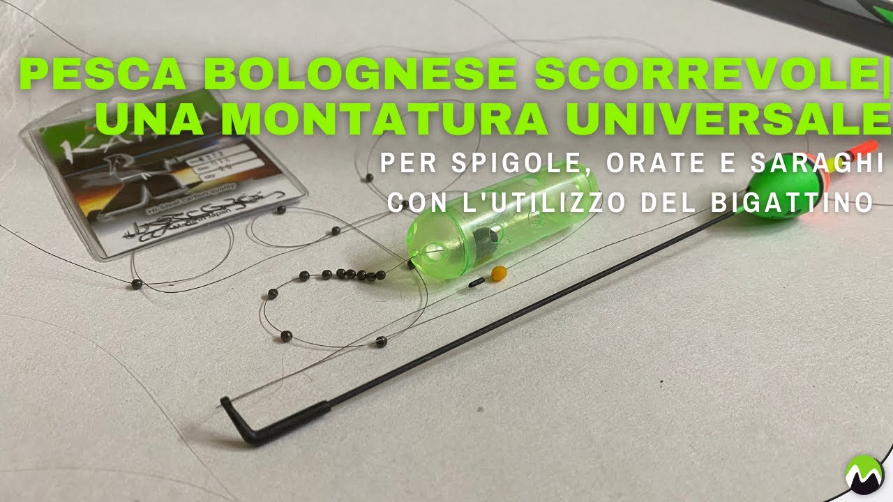 PESCA BOLOGNESE SCORREVOLE | Una Montatura universale per Spigole, Orate e Saraghi