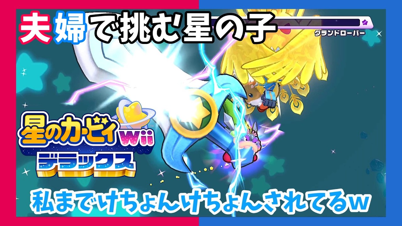 【Switch】【夫婦実況】相方もめった刺し「星のカービィ Wiiデラックス」【アクション】#20