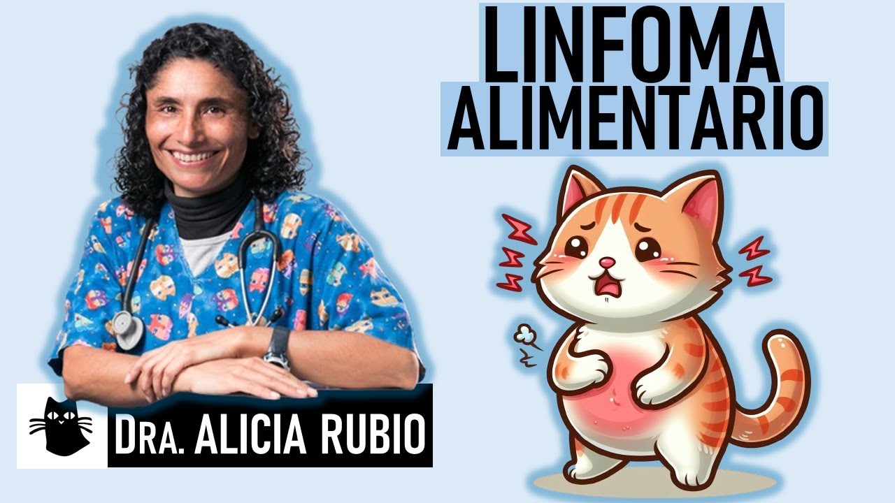 LINFOMA ALIMENTARIO en GATOS | con la Dra. ALICIA RUBIO @veterinariarubio | La Vida Con Gatos 34