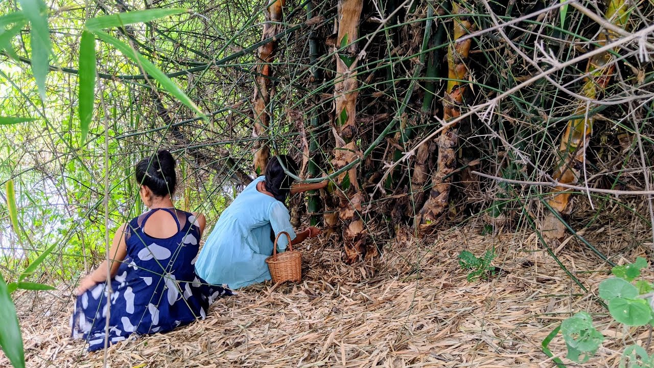 आज हम जंगल गए बांस लाने बांस से बनायेंगे अचार | bamboo ka achar
