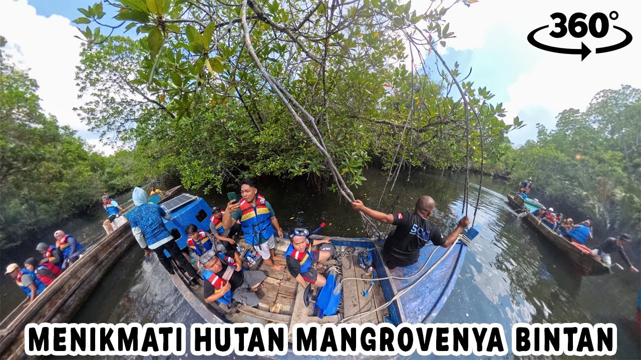 Menelusuri Sungai Hutan Mangrove Pakai Perahu! - VR 360° Experience