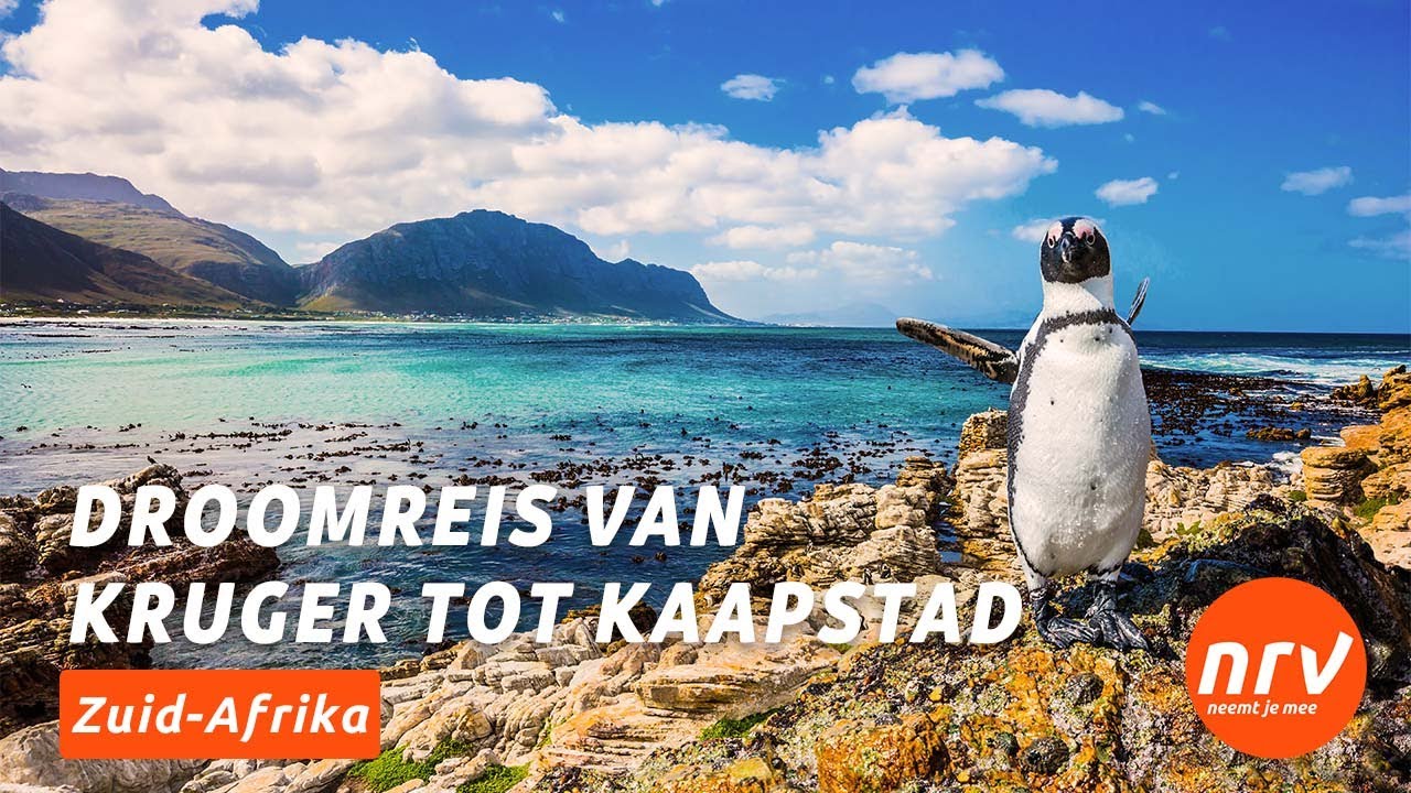 Rondreis Zuid-Afrika | Ontdek de mooiste bestemmingen en safari’s met NRV