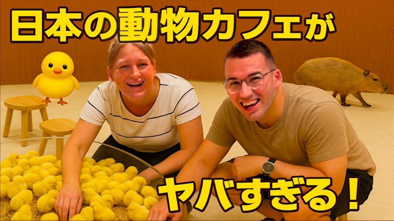 外国人動物トレーナー、動物カフェのクオリティに衝撃！