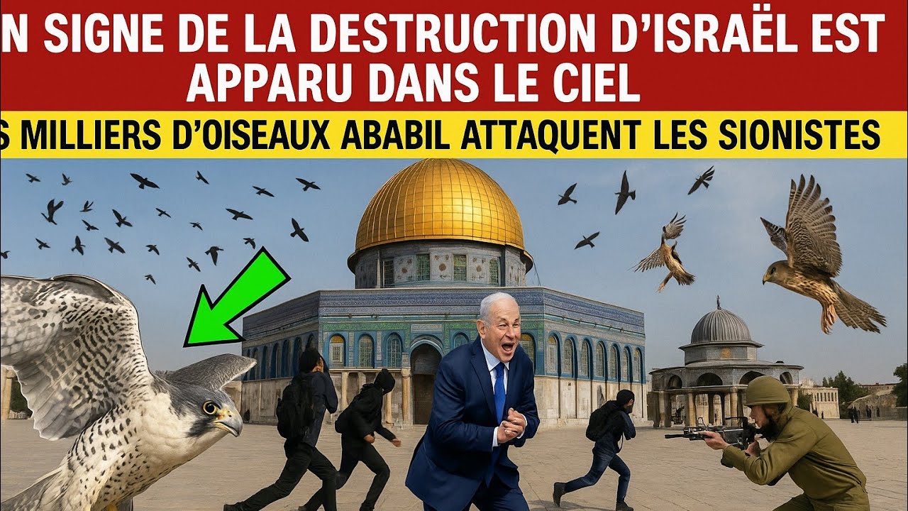 Miracle des oiseaux Ababil &agrave; Al-Aqsa &ndash; Les soldats fuient, le monde sous le choc !