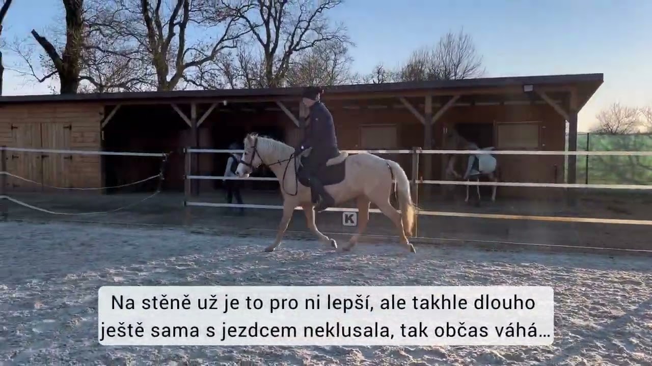 Gucci - třetí samostatné řízení ze sedla