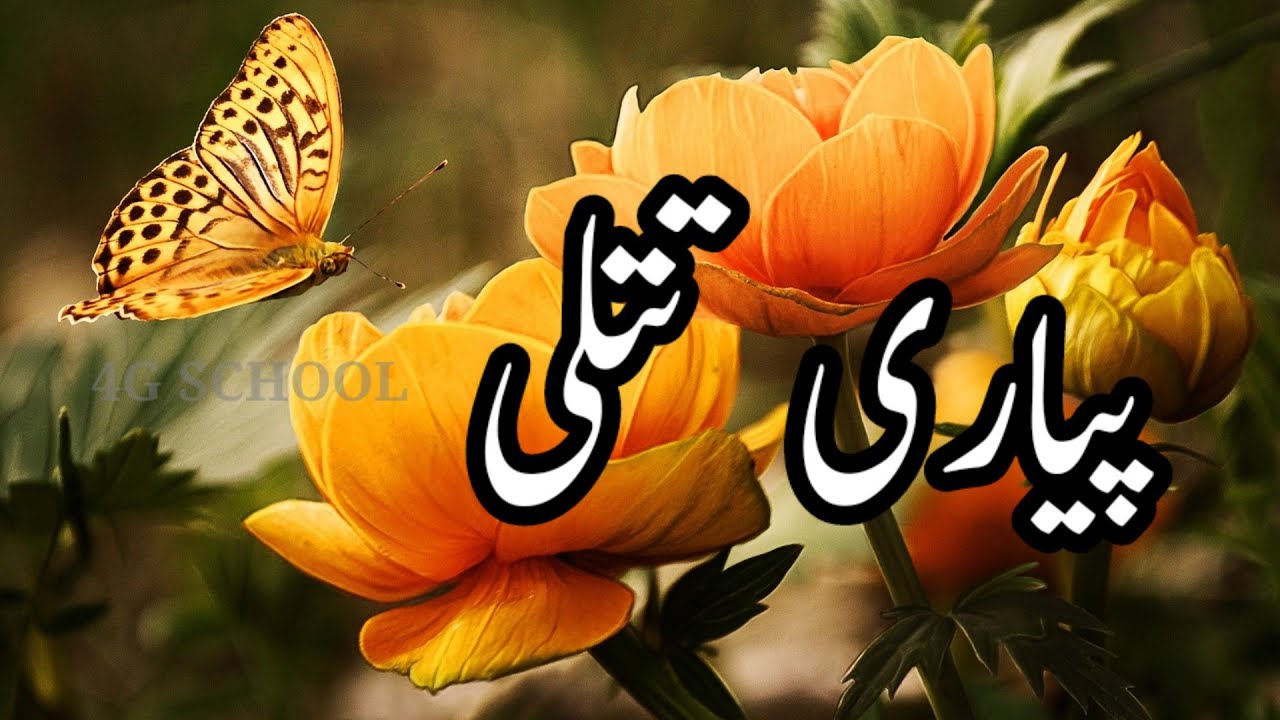 Pyari Titli nazam std 1st new syllabus Urdu poems for kids پیاری تتلی اردو نظم