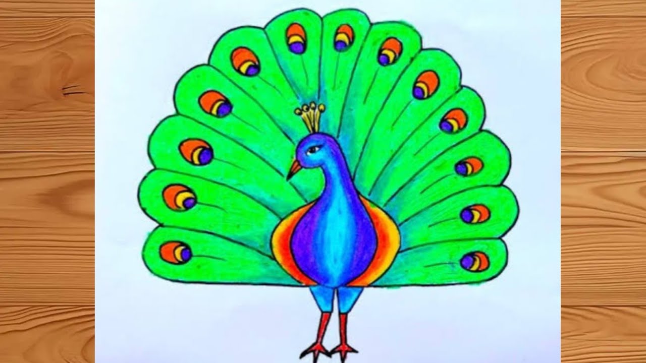 How to Draw a Peacock | Simple & Colorful Drawing for Beginners