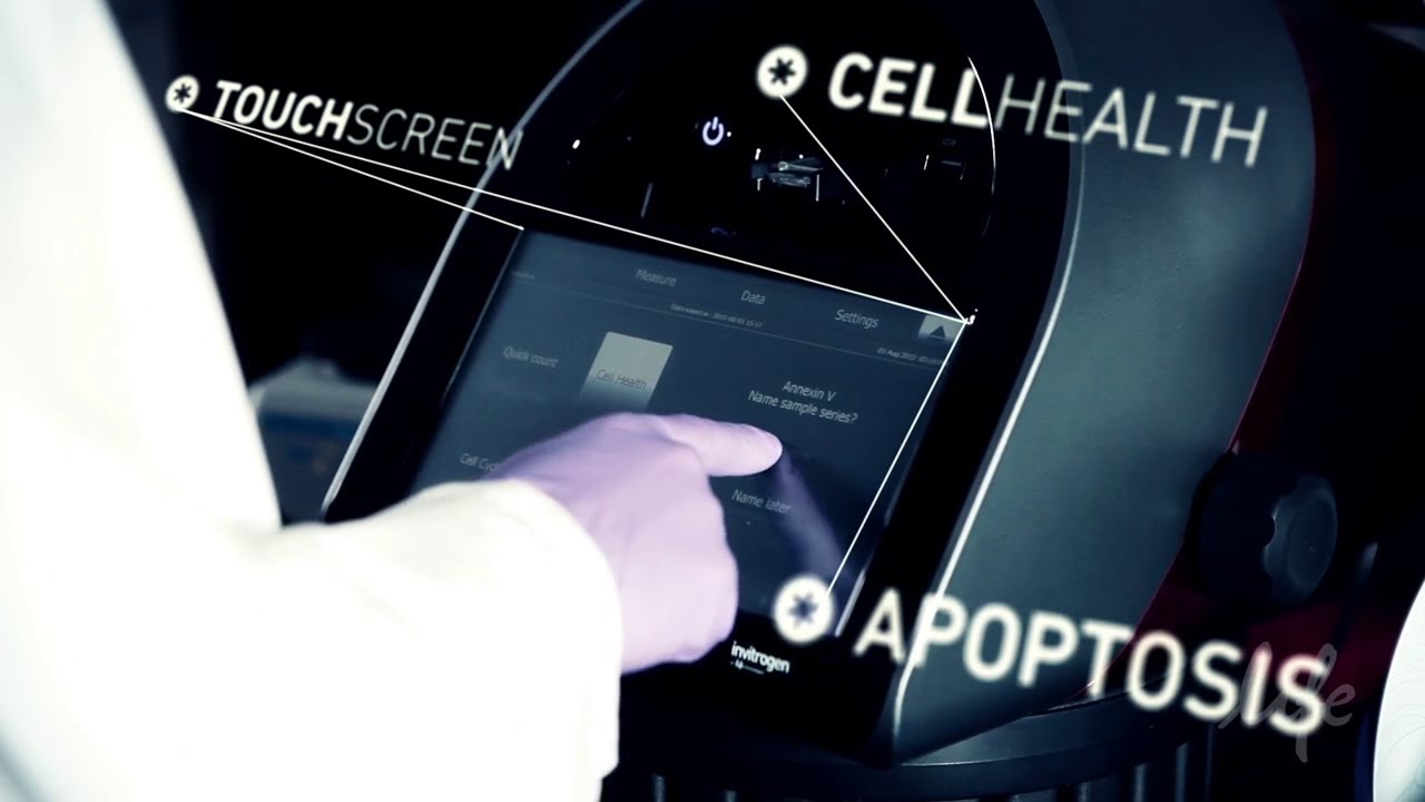 Apoptosis Visualization and Quantification with Tali&reg; Image-Based Cytometer