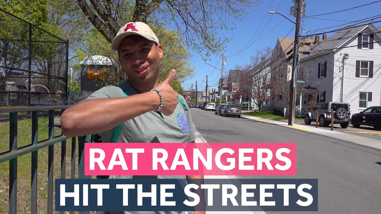 Boston neighborhood festival's 'Rat Walk' highlights notorious rodent hotspots