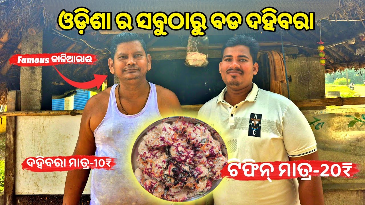 କାଳିଆ ଭାଈଙ୍କ ସ୍ପିସିଆଲ୍ ଦହିବରା ଆଉ Tiffin Center@OdishaVloggerKailash 