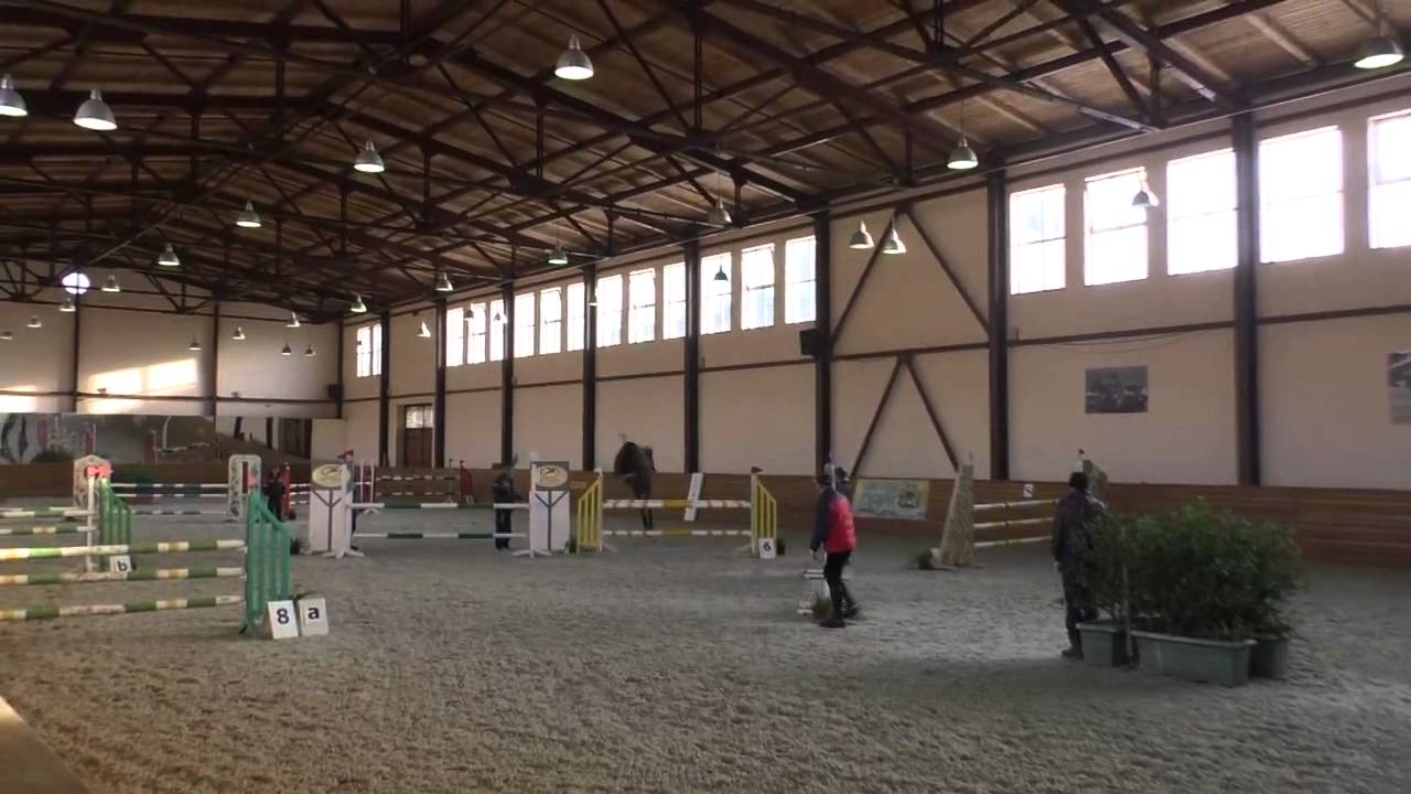 Horse Knocks off Rider and Finishes Competition Alone